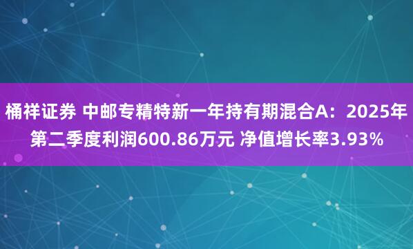 桶祥证券 中邮专精特新一年持有期混合A：2025年第二季度利润600.86万元 净值增长率3.93%