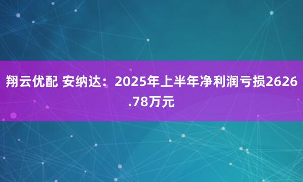 翔云优配 安纳达：2025年上半年净利润亏损2626.78万元